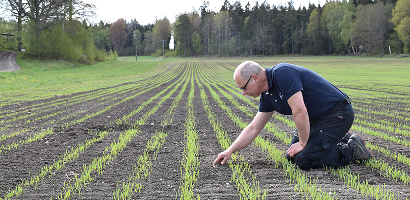 Agronom på fält