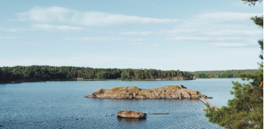 Drevviken_DSCF2375.jpg