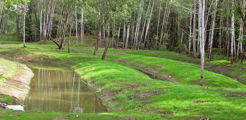 Invalladed dammar omgivna av skog.