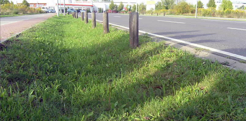 Gräsklätt dike mellan väg och cykelbana