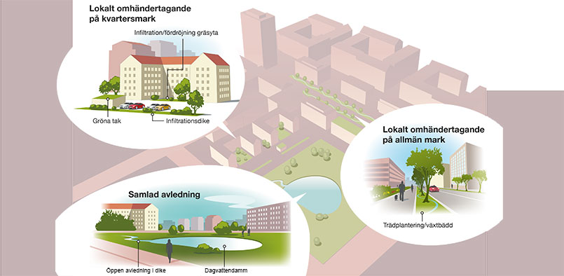 Schematisk bild över lokalt omhändertagande av dagvatten.